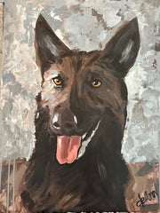 Pet Portraits