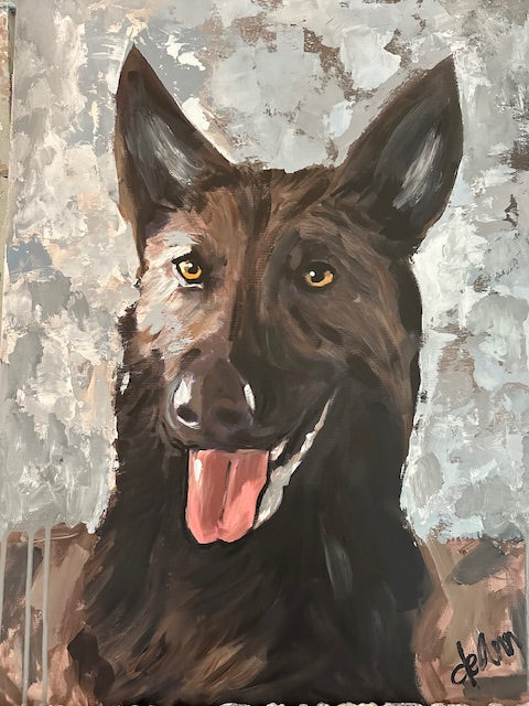 Pet Portraits