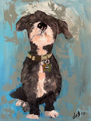 Pet Portraits