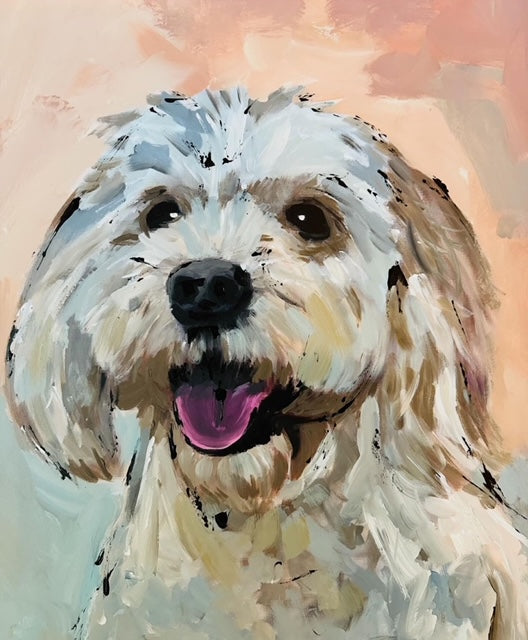Pet Portraits